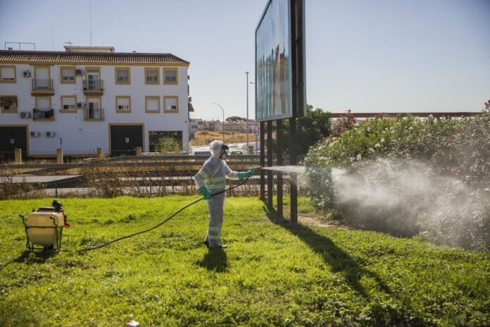 Operario fumigando contra mosquitos en zona urbana de Andalucía para prevenir el virus del Nilo