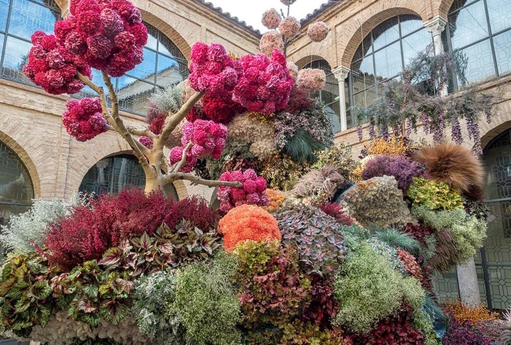 Festival internacional de Flora