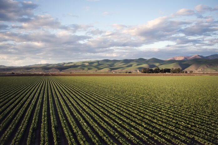 Extensos campos de cultivo ecológico en España con montañas al fondo y un cielo parcialmente nublado.