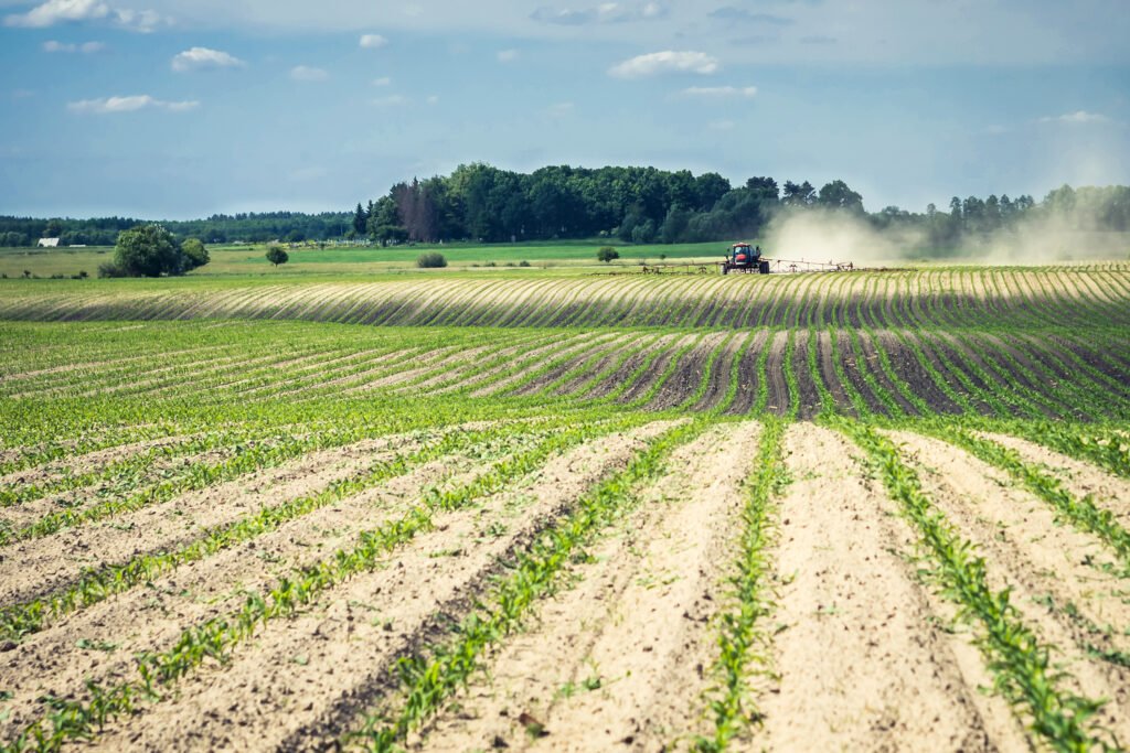 Vista panorámica de un campo agrícola bajo el cielo
