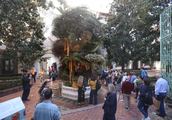 Instalación floral con abundantes flores blancas y elementos vegetales diversos en el Festival Flora 2024 de Córdoba