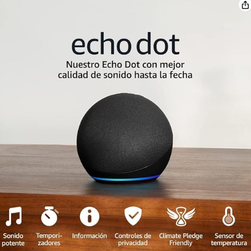 Google Home echo dot